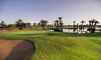 palmeraie golf club